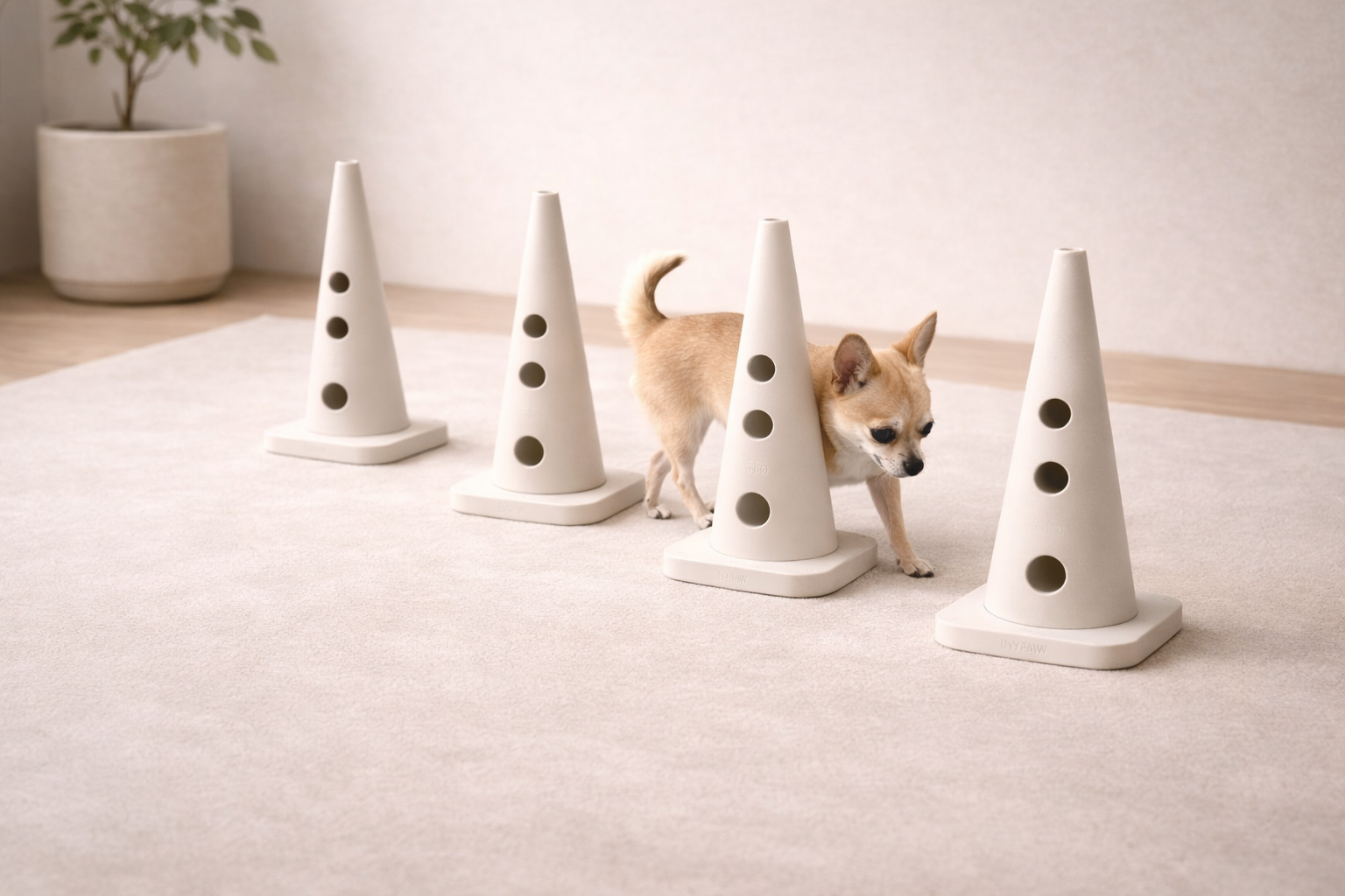 Einsteiger-Set für kleine Hunde – Bild 3